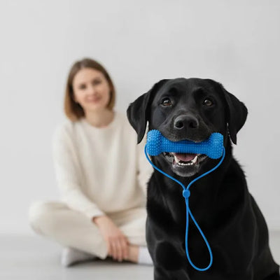 Enklare tandborstning för både dig och din hund.